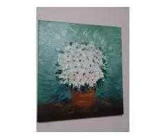 Shasta Daisies In Full Bloom - 3