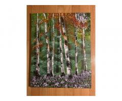 Birch Trees in Forest