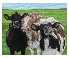 Pet Portrait Commissions - 4