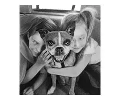 Commissioned portraits - 2