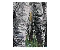 Into The Woods No.7 - 2