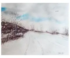 Winter sky