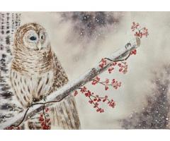 Owl and winter berries