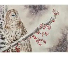 Owl and winter berries