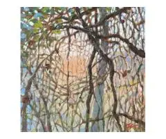 EcologicalNaturalNetwork