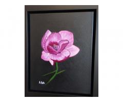 Love for Magnolias