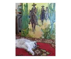 Mexican cowboys